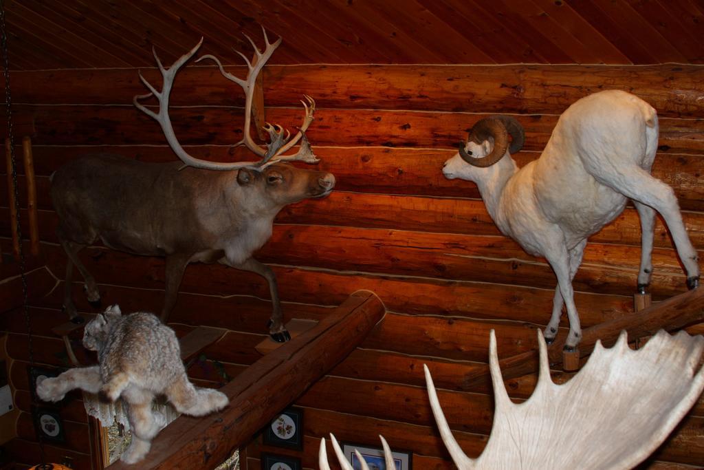 Wise Old Hunter Lodge Anchor Point Номер фото